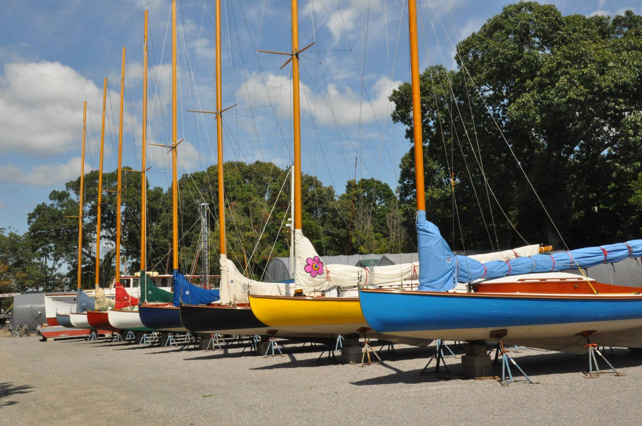 The A-Cat Fleet